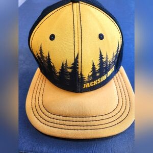 Jackson hole flatbill snapback hat